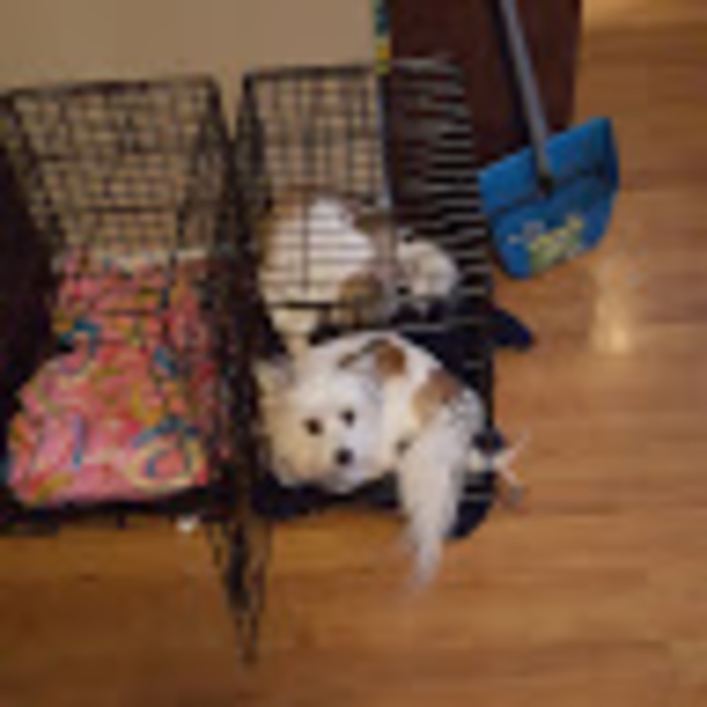 Meet your Posher, Jesica